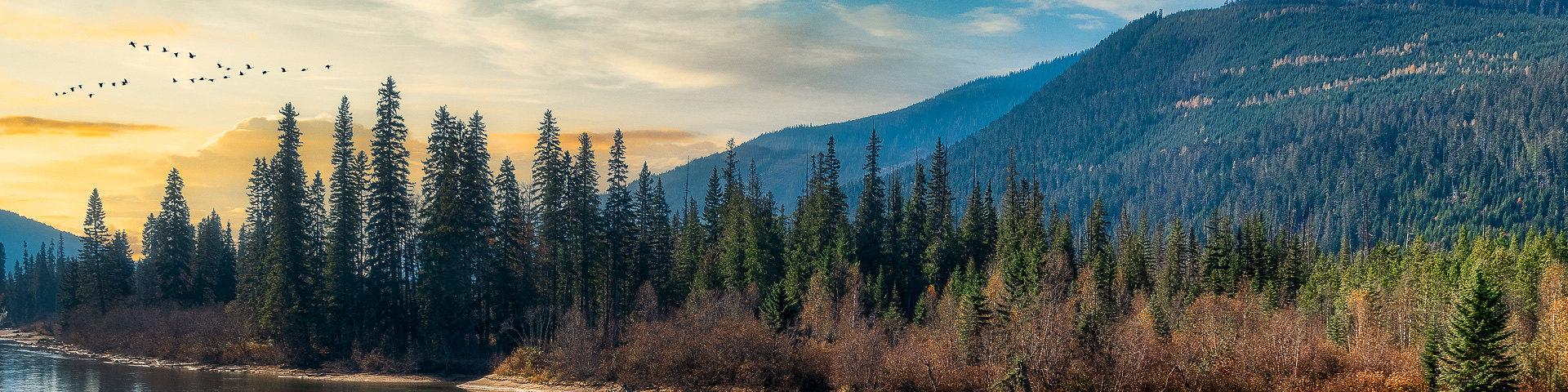 Hotel Deals in Vancouver